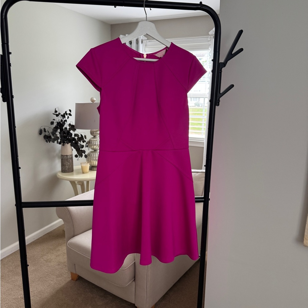 Ted Baker Pink Midi Dress